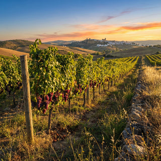 MadrePura Crianza 2022