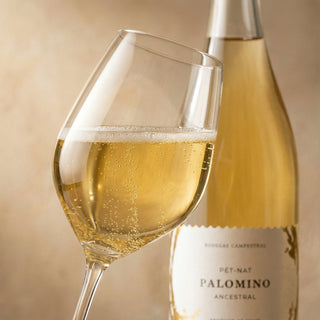 Palomino Ancestral 2021